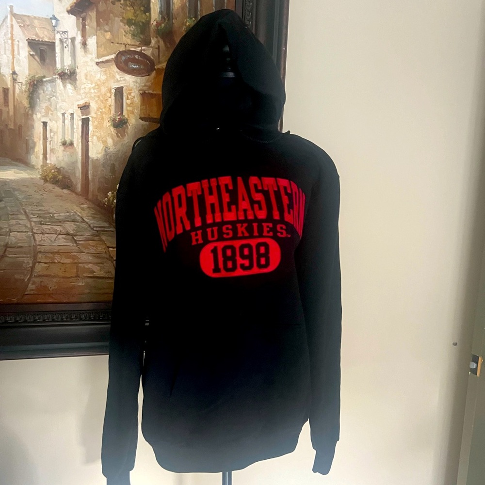 Champions Northeastern Huskies embroidered hoodie